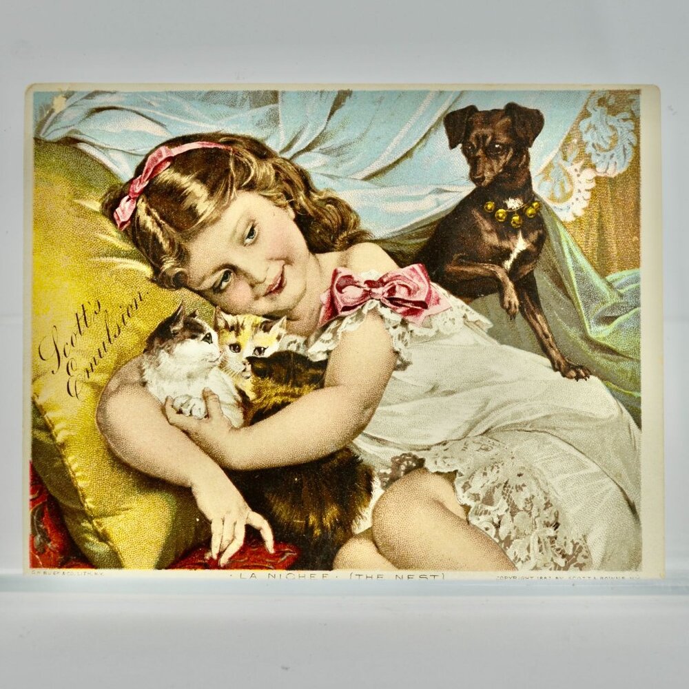 Scott's Emulsion 1887 Antique Victorian Trade Card The Little Pets